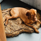 Faux Fur Orthopedic Dog Bed, Memory Foam, Brown 50"x30" | Plush Washable Dog Rug with Waterproof Machine Washable Cover, Calming for Anxious Senior Dogs, Relieves Joints