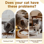Mushroom Cat Bowl,Whisker Fatigue Cat Bowl,Cute Cat Bowls,Elevated Cat Food Bowl, Lead & Cadmium Free Ceramic Cat Bowls for Food and Water. (Black+Yellow)