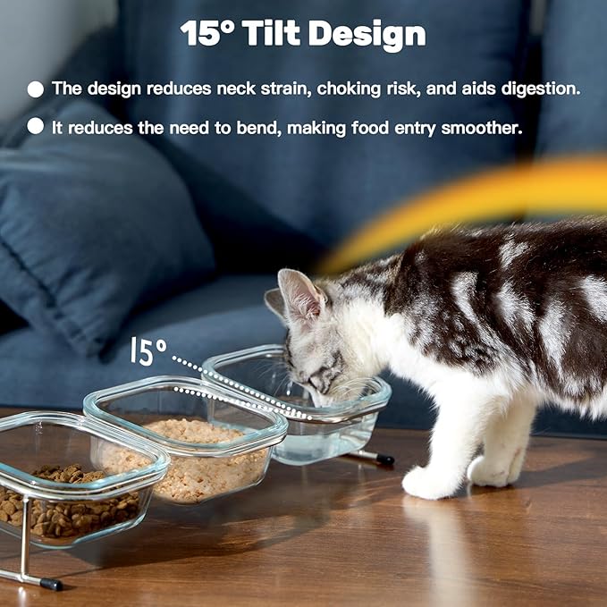 Elevated Cat Bowls, 15° Tilted Glass Raised Cat Food and Water Bowl | Stainless Steel Stand, 3 Large Capacity Glass Cat Bowls and 4 Anti Slip Feet, Suitable for Cats and Little Dogs