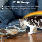 Elevated Cat Bowls, 15° Tilted Glass Raised Cat Food and Water Bowl | Stainless Steel Stand, 3 Large Capacity Glass Cat Bowls and 4 Anti Slip Feet, Suitable for Cats and Little Dogs