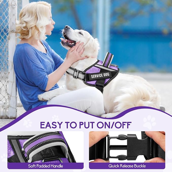Service Dog Harness and Leash Set, XS, Purple, with 10 Patches, Reflective, for Small Dogs