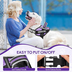 Service Dog Vest Harness and Leash Set, Animire in Training Dog Harness with 10 Dog Patches, Reflective Dog Leash with Soft Padded Handle for Small, Medium, Large, and Extra-Large Dogs (Purple, S)