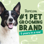 TropiClean Oatmeal Dog Shampoo for Itchy Skin Relief, Professional Dog Shampoo, Soothing Medicated Itch Relief, Puppy Safe, Made in USA, 2.5 Gallon | Professional Soothing Medicated Formula | Itchy Skin Relief | Puppy Safe | Made in USA