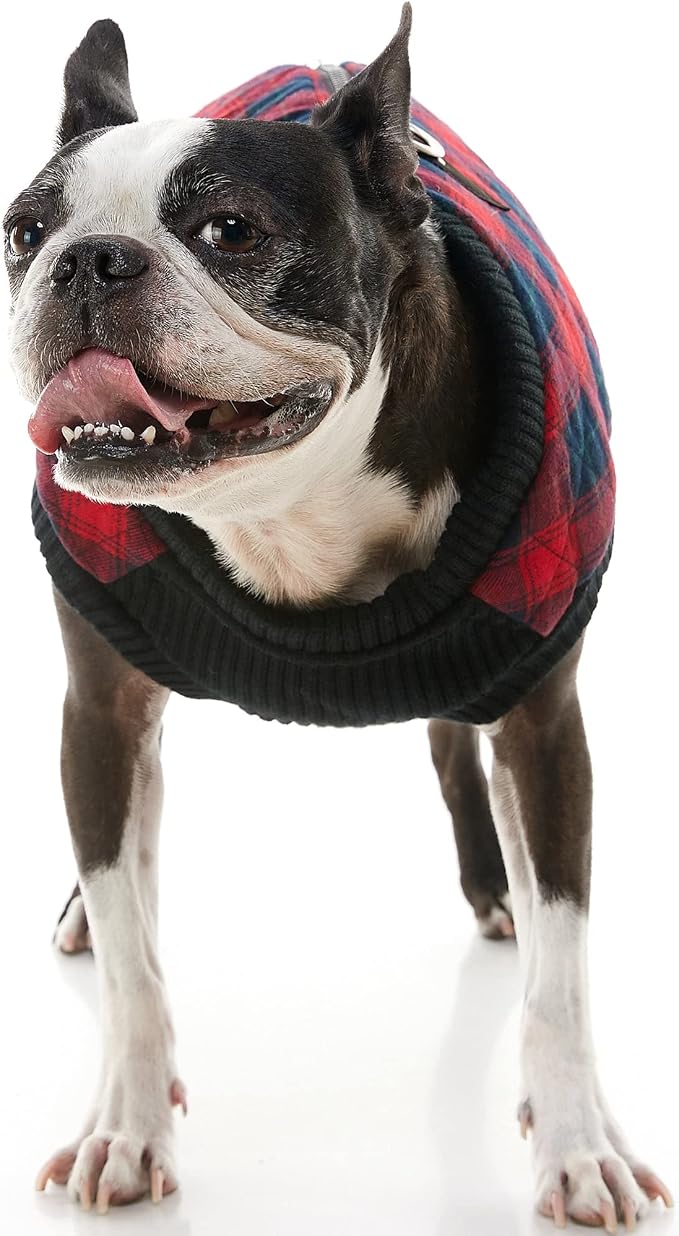 Gooby Fashion Vest Check Dog Jacket - Red Check, Small - Warm Zip Up Bomber Vest with Dual D Ring Leash - Winter Water Resistant Small Dog Sweater