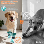 EXPAWLORER Dog Socks to Prevent Licking Paws with Grippers for Hardwood Floors Anti Slip,Glow-in-the-Dark Dog Summer Shoes Booties Boots & Paw Protectors for Small Medium Large Senior Dogs Green XL