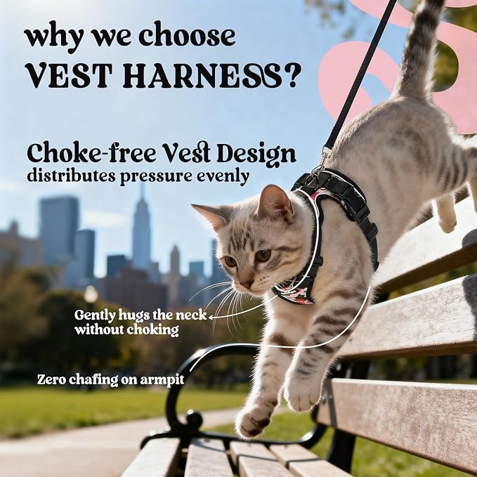 rabbitgoo Cat Harness and Leash Set, Escape Proof Vest, Berry Pounce | Soft Breathable Mesh, Easy Adjustable Fit, Snap Buckles, Sturdy Clip, Reflective Strips, for Average Cats Walks, S