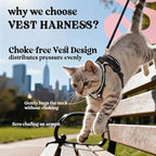 rabbitgoo Cat Harness and Leash Set, Escape Proof Vest, Berry Pounce | Soft Breathable Mesh, Easy Adjustable Fit, Snap Buckles, Sturdy Clip, Reflective Strips, for Average Cats Walks, S