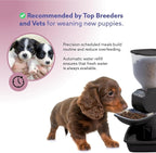 Feeding Friend® Automatic Dog & Cat Food Feeder with Water Dispenser Smart Pet Feeder with Portion Control, OLED Display, Anti Jam Design, Battery Operated Dispenser for Small XS 4-15 lbs Pets Black
