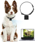 Dog Collar Camera 1080P HD Video Recording Pet POV Cam | M-Size Collar for Medium Dogs & Big Cats up to 44 lbs, No WiFi No App Action Camera, Night Vision (Micro-SD Card Required)