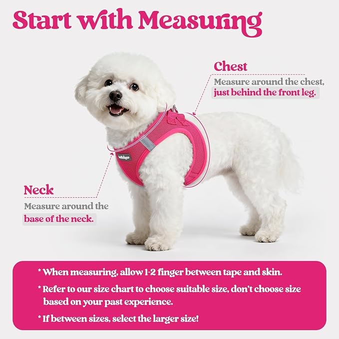 rabbitgoo Dog Harness Medium Sized and Leash Set, Step-in Puppy Pet Vest | Light, Soft, Breathable Air Mesh, Easy on and Remove with Hook & Loop, Secure Reflective for Walking, Rose Red L