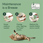 Purina Tidy Cats Litter Pellets, Breeze Refill Litter Pellets in Recyclable Box - (4) 7 lb. Bags