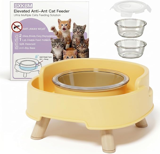 Ant Not Cross Elevated Cat Bowls Mess Proof-2 Food Grade Glass Bowls & 1 Lids- No Spill Cat Food and Water Feeding Station for Cats&Puppy Indoor & Outdoor,No Whisker Fatigue Dish,Yellow