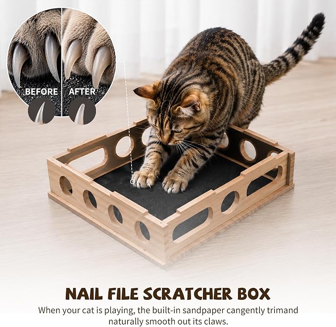 Cat Nail File Enrichment Box Scratch Puzzle Toy with Slot Lock Screws | 11.8in Solid Wood Cat Scratcher with 180-Grit Sandpaper Slot Lock 8 Screws Bell Balls Feather Teaser Indoor Claw Care Toy