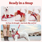 rabbitgoo Dog Harness Small Sized and Leash Set, Step-in Puppy Pet Vest | Light, Soft, Breathable Air Mesh, Easy on and Remove with Hook & Loop, Secure Reflective for Walking, Apple Pups XS