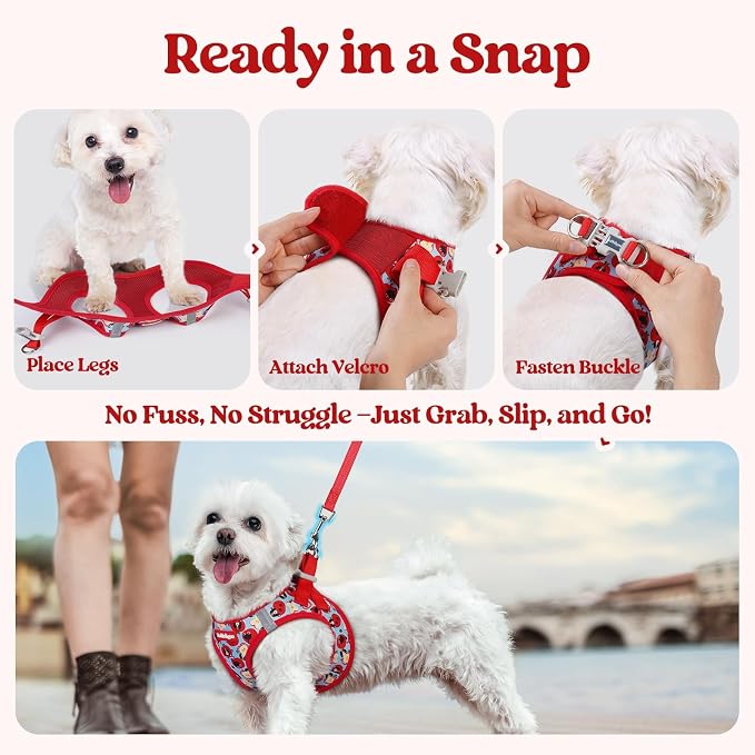 rabbitgoo Dog Harness Small Sized and Leash Set, Step-in Puppy Pet Vest | Light, Soft, Breathable Air Mesh, Easy on and Remove with Hook & Loop, Secure Reflective for Walking, Apple Pups M