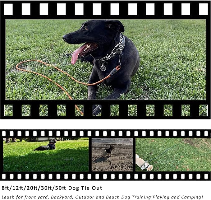 BTINESFUL Tie-Out Check Cord Long Rope Dog Leash, 12ft 20ft 30ft 50ft 75ft Dog Tether for Yard- Great for Large Medium Dogs Training, Playing, Camping, or Backyard (20ft, Beige Black)