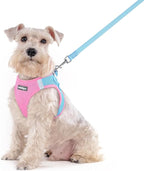 rabbitgoo Dog Harness Medium Sized and Leash Set, Step-in Puppy Pet Vest | Light, Soft, Breathable Air Mesh, Easy on and Remove with Hook & Loop, Secure Reflective for Walking, Blue & Light Pink XXL