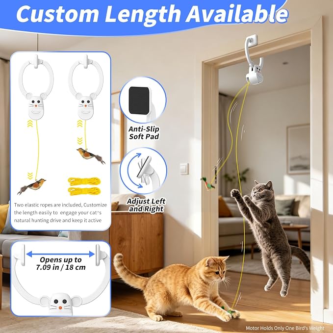 Interactive Cat Toys for Indoor Cats, Door Hanging Flying Bird Feather Toy | USB Rechargeable Automatic Cat Enrichment Toy for Exercise and Mental Stimulation, Keeps Kittens and Adult Less Bored
