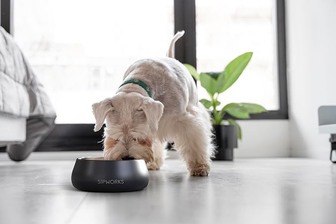 Sipworks Stainless Steel Dog Bowl – 32oz Weighted Metal Food and Water Bowls for Dogs and Cats with Non-Slip Base - Pet Bowls for All Breeds Sizes for Travel & Outdoor Play | Sky Blue