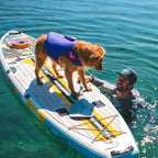 Ruffwear, Float Coat Dog Life Jacket, Premium Buoyancy Swim Vest with Lift Handle, Secure Fit & Reflective Trim, Adjustable Flotation for Swimming, Boating, & Outdoor Adventures, Deep Blue, Small