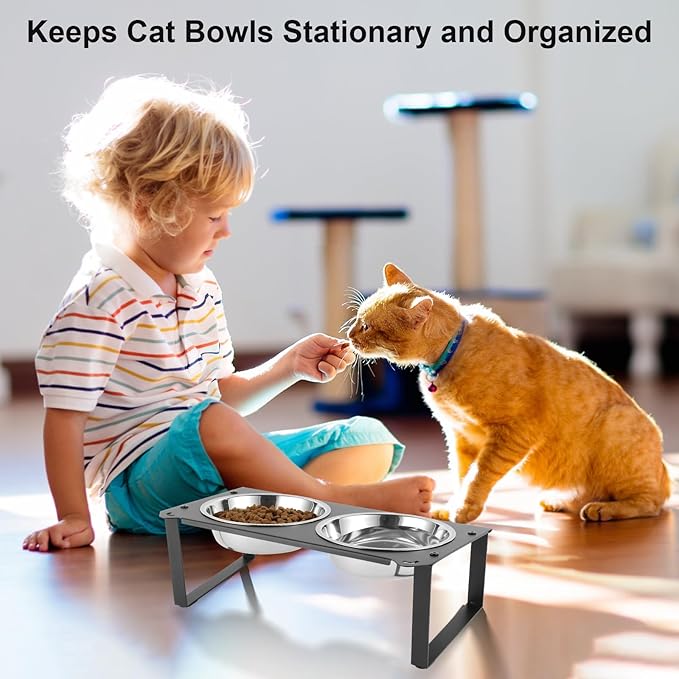 1 Set Elevated Cat Food Water Bowls, 4 Replacement Stainless Steel Bowls for Indoor Pet with Cute Metal Stand, 10° Tilted Anti-Vomiting Raised Wide Shallow Cat Dishes Whisker Friendly for Kitten,Puppy