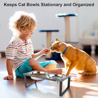 1 Set Elevated Cat Food Water Bowls, 4 Replacement Stainless Steel Bowls for Indoor Pet with Cute Metal Stand, 10° Tilted Anti-Vomiting Raised Wide Shallow Cat Dishes Whisker Friendly for Kitten,Puppy