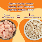 Jungle Calling Freeze Dried Chicken Cat & Dog Treats, 670 Pcs, 10.58 oz | Single Ingredient, High Protein Chicken Bites, Grain-Free, Additive-Free Training Treats & Food Toppers for Cats & Dogs
