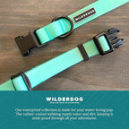 Wilderdog Waterproof Dog Collar - Repels Water & Dirt - Large 17"-24" - Seafoam