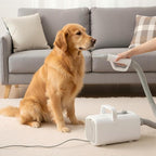 NEWBULIG Dog Hair Dryer, Dog Blow Dryer with Heater, White | 1550W High Velocity Pet Blow Dryer with Heater, Speed Temperature Adjustable Dog Blower Grooming with 4 Nozzles