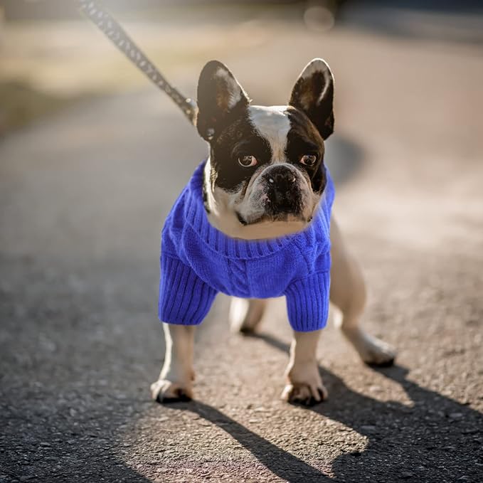 Queenmore Small Dog Pullover Sweater, Cold Weather Cable Knitwear, Classic Turtleneck Thick Warm Clothes for Chihuahua, Bulldog, Dachshund, Pug (Royal Blue, X-Small