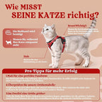rabbitgoo Cat Harness and Leash Set, Escape Proof Vest, Red | Soft Breathable Mesh, Easy Adjustable Fit, Snap Buckles, Sturdy Clip, Reflective Strips, for Average Cats Walks, S