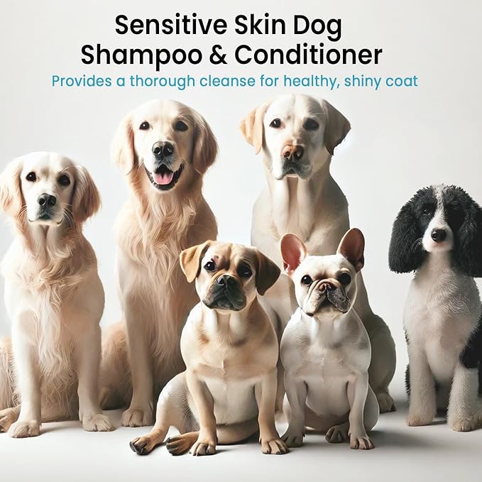 Dog Shampoo and Conditioner Set with Biotin, Rosemary & Lavender (16 fl oz) | Detangles, Deodorizes & Moisturizes for All Breeds & Puppies | Suitable for Itchy, Dry & Sensitive Skin | ALFIE'S CHOICE