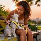 rabbitgoo Cat Harness and Leash Set, Escape Proof Vest, Yellow | Soft Breathable Mesh, Easy Adjustable Fit, Snap Buckles, Sturdy Clip, Reflective Strips, for Average Cats Walks, S