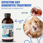 Cat Gingivitis Treatment Liquid 100ml - Cats Dental Care Clean Teeth & Gums, Eliminate Bad Breath, Natural Extracts Lessen Tartar & Plaque, Include 3 ml Dropper with Cap