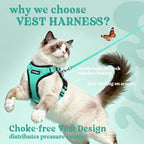 rabbitgoo Cat Harness and Leash Set, Escape Proof Vest, Emerald | Soft Breathable Mesh, Easy Adjustable Fit, Snap Buckles, Sturdy Clip, Reflective Strips, for Medium to Large Cats Walks, M