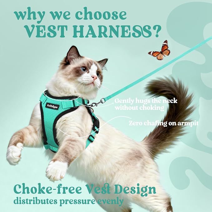rabbitgoo Cat Harness and Leash Set, Escape Proof Vest, Emerald | Soft Breathable Mesh, Easy Adjustable Fit, Snap Buckles, Sturdy Clip, Reflective Strips, for Medium to Large Cats Walks, M