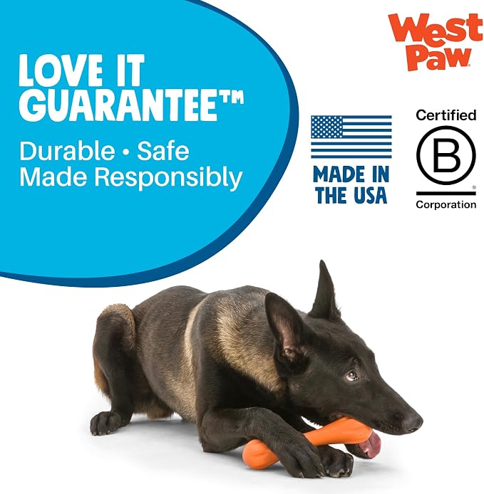 WEST PAW Zogoflex Hurley Dog Bone Chew Toy – Floatable Pet Toys for Aggressive Chewers, Catch, Fetch – Bright-Colored Bones for Dogs – Recyclable, Dishwasher-Safe, Non-Toxic, Large, Tangerine