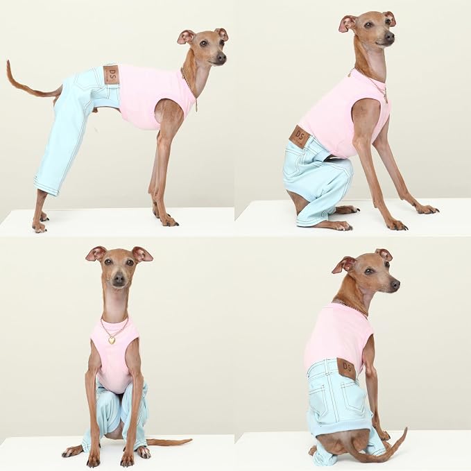 D Doggy Star Italian Greyhound Clothes Sleeveless Jeans Onesie Outfit Whippet for Dog Coat (L,Sky Blue Jean)