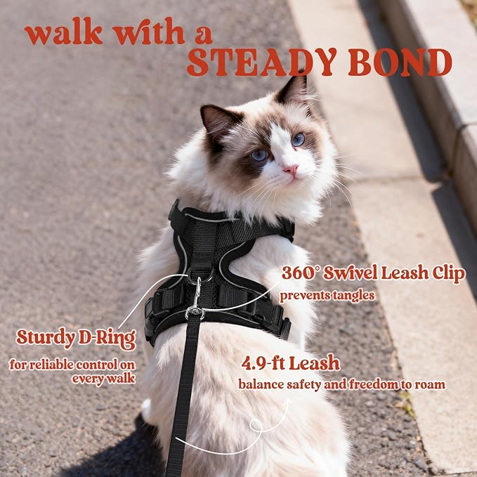 rabbitgoo Cat Harness and Leash Set, Escape Proof Vest, Black | Soft Breathable Mesh, Easy Adjustable Fit, Snap Buckles, Sturdy Clip, Reflective Strips, for Average Cats Walks, S