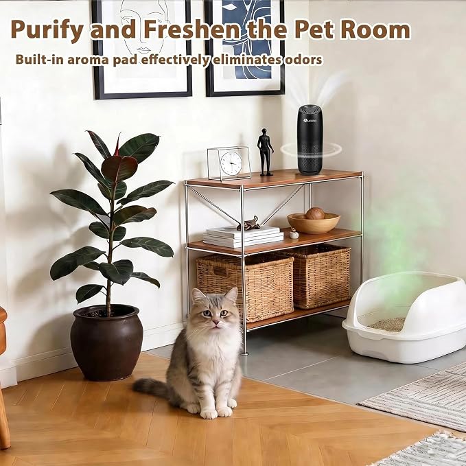 Aucleia Mini Portable Air Purifier for Car Office Travel, Black | Compact Air Purifier With Aromatherapy Function, Usb Powered Mini Usb Air Purifier Removes Pet Odor, Smoke, Dust And Pollen