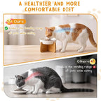 4 Set Raised Slow Feeder Cat Bowl with Stand,Flower Style,White | 5.8'' Wide, Ceramic, Elevated, Shallow Slow Eating Cat Bowl, for Dry/wet Food, Beard Friendly, Dishwasher Safe