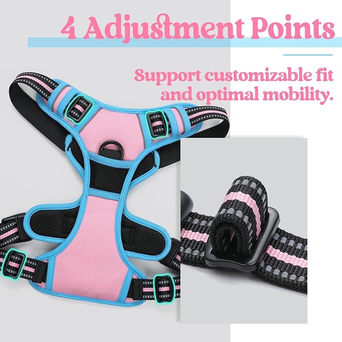 rabbitgoo Dog Harness, No Pull for Small Dogs with 2 Leash Clips, Pet Vest | No Choke with Handle, Adjustable Soft Padded, Reflective, Easy Control for Walking, Pink & Blue, Small