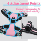 rabbitgoo Dog Harness, No Pull for Small Dogs with 2 Leash Clips, Pet Vest | No Choke with Handle, Adjustable Soft Padded, Reflective, Easy Control for Walking, Pink & Blue, Small