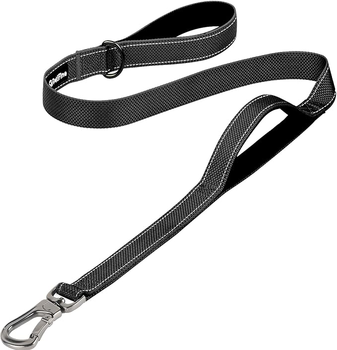 PetiFine 4FT Heavy Duty Dog Leash with Soft Padded Double Handle | Traffic Handle Extra Control,Auto Lock Hook,Reflective Nylon Walking Lead for Large,Medium,Small Breed Dogs
