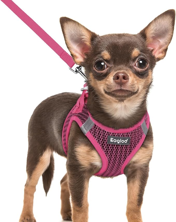 Eagloo Small Dog Harness and Leash Set, Step in Extra Small Puppy Pet Vest | Light, Soft, Breathable Air Mesh, Easy on and off with Hook & Loop, Reflective for Safe Walking, Rose Red, XXS