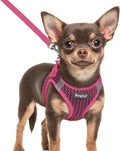 Eagloo Small Dog Harness and Leash Set, Step in Extra Small Puppy Pet Vest | Light, Soft, Breathable Air Mesh, Easy on and off with Hook & Loop, Reflective for Safe Walking, Rose Red, XXS