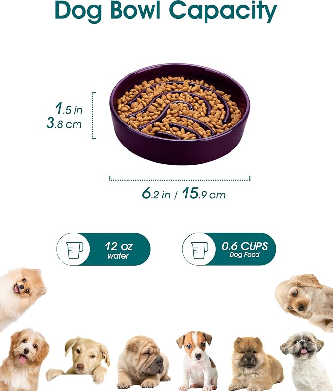 vancasso Slow Feeder Dog Bowl, 0.6 Cup Ceramic Slow Feeding Food Dish for Small Breed, Puzzle Dog Food Bowl for Fast Eater, Dark Purple