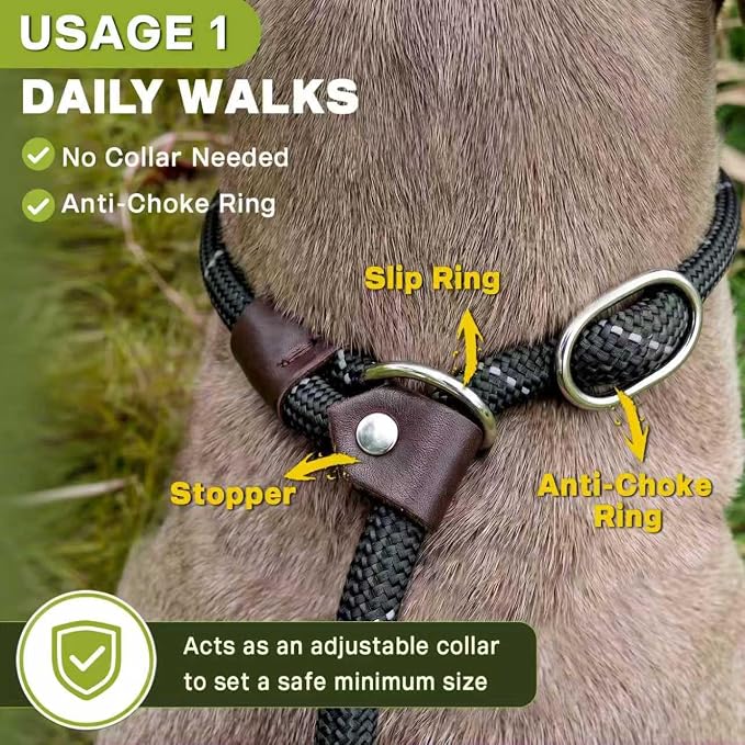 Fida Durable Slip Lead Dog Leash Bulk Pack of 5, Heavy Duty 1/2" x 6 FT Comfortable Strong Rope Slip Lead for Large, Medium & Small Dogs No Pulling Pet Training Leash with Highly Reflective (Black)