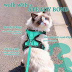 rabbitgoo Cat Harness and Leash Set, Escape Proof Vest, Emerald | Soft Breathable Mesh, Easy Adjustable Fit, Snap Buckles, Sturdy Clip, Reflective Strips, for Small & Average Cats Walks, Xs