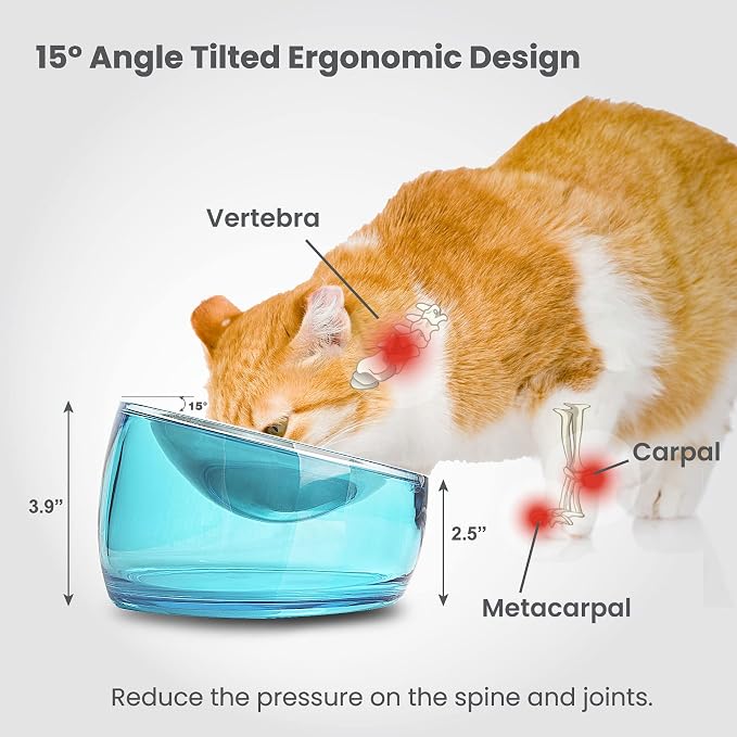 Felli Pet Oblik Whisker Fatigue Cat Food Bowl Raised Stainless Steel Shallow Dish, Pet Design Anti Vomit Tilted Metal Plate Feeder Elevated Acrylic Base(Sapphire, 0.5 Cups Shallow Dish)